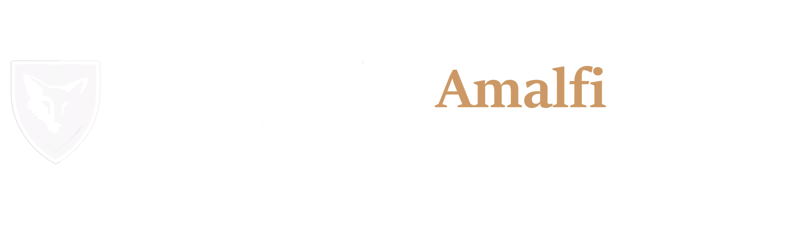 Logo Security Amalfi